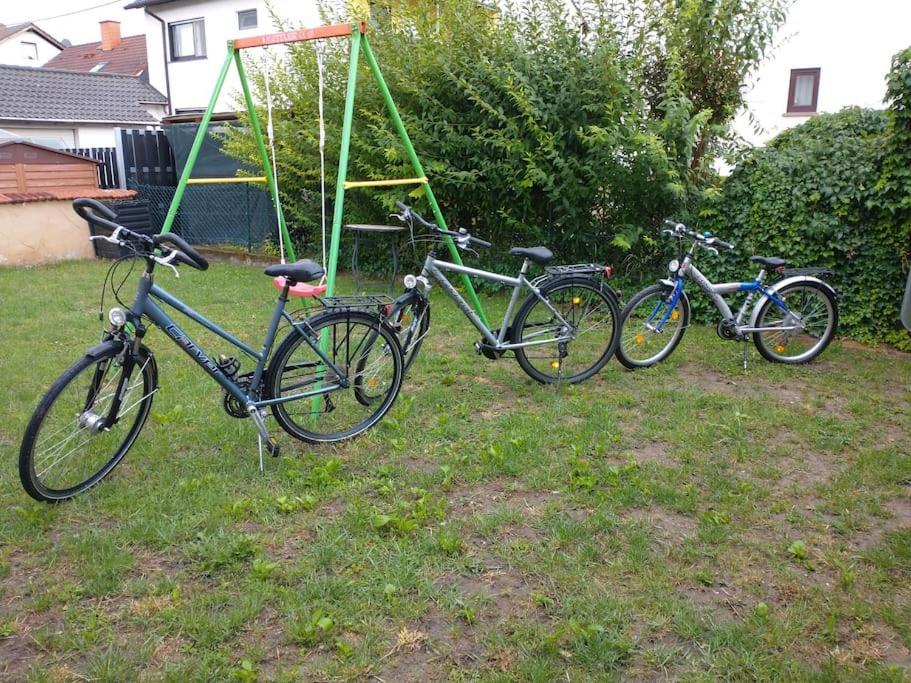 Schicke Hundefreundliche Wohnung Alsheim Εξωτερικό φωτογραφία
